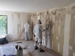 Hettinger, ND Mold Removal Services Company